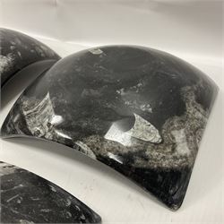 Set of four square dishes in two sizes, each with orthoceras and goniatite inclusions, age: Devonian period, location: Morocco, large dish D16cm