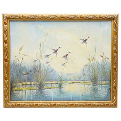 Romeo di Girolamo (Italian 1939-): Ducks in Flight, oil on board signed and dated '50, 40cm x 50cm