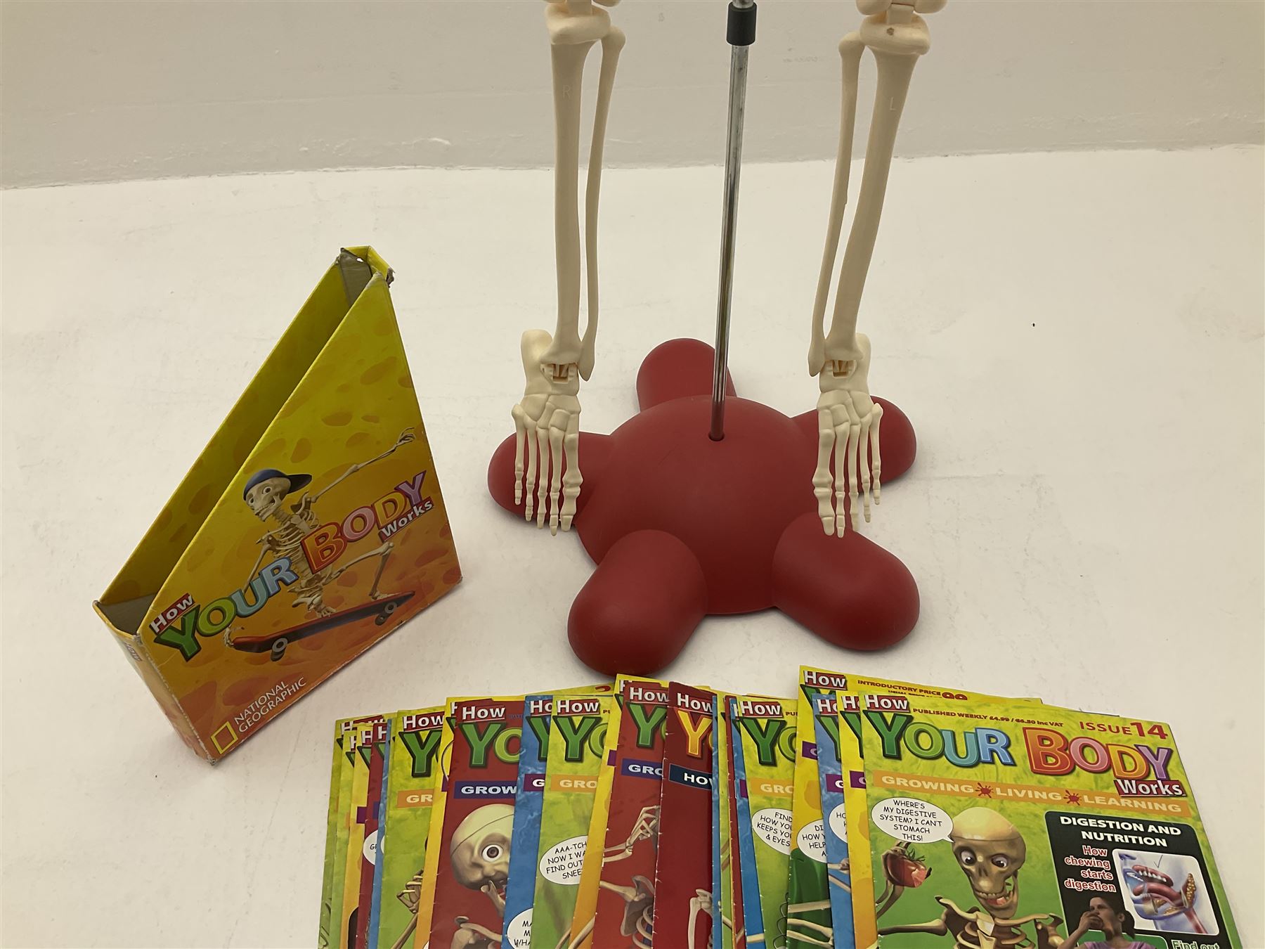 Billie Bones anatomy skeleton with set of magazines volume one to thirty four, skeleton H120cm. 