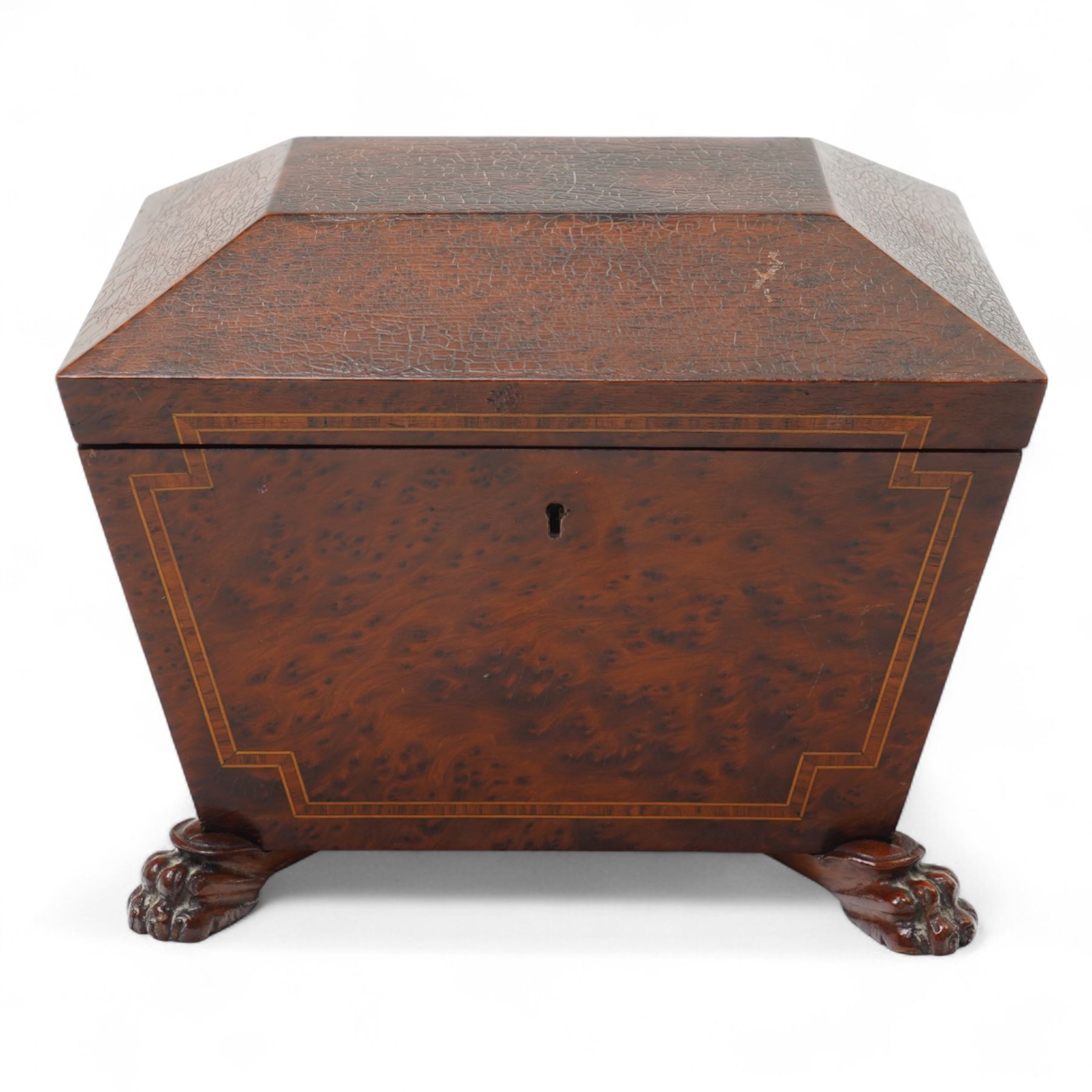 20th century amboyna tea caddy, of sarcophagus form, on paw feet, W22cm