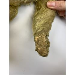 Early 20th century English teddy bear, with wood wool filled body with jointed limbs, felt covered paw pads, five claw stitching to feet and elongated arms with spoon shaped paws H14