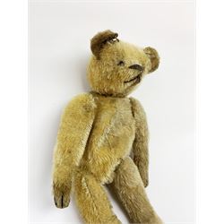 Early 20th century American mohair teddy bear c1920 with wood wool filled body humped back body with jointed limbs, black boot button eyes and horizontal stitched nose and mouth H12