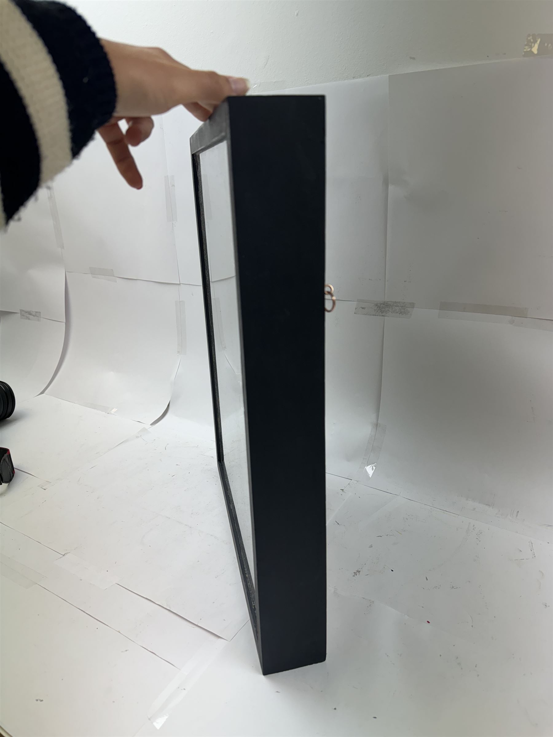 Entomology: Single glazed display of butterflies, circa 20th century, single glazed display containing seven various specimens, including green-banded swallowtail, and amauris crawshayi, pinned upon foam backing, enclosed within a glazed ebonised display case the backdrop painted with blossoming branches , H49cm, L39cm