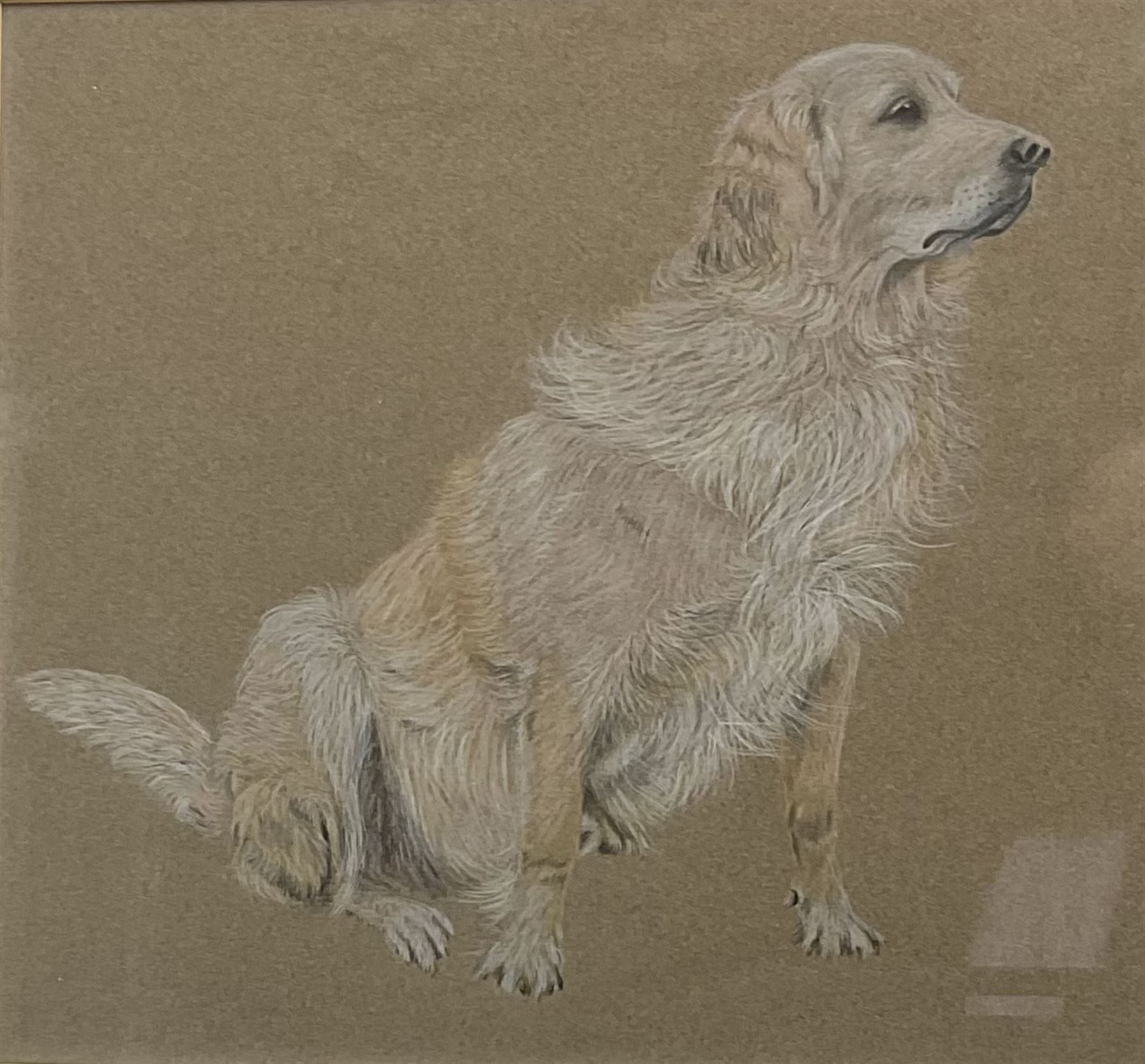 Geoffrey H Douthwaite (British 20th century): 'A Moorland Village', watercolour signed, titled verso together with English School (20th century): Golden Retriever, chalk on paper unsigned max 25cm x 34cm