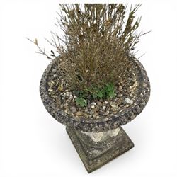 Victorian design Country House cast stone urn on plinth base,