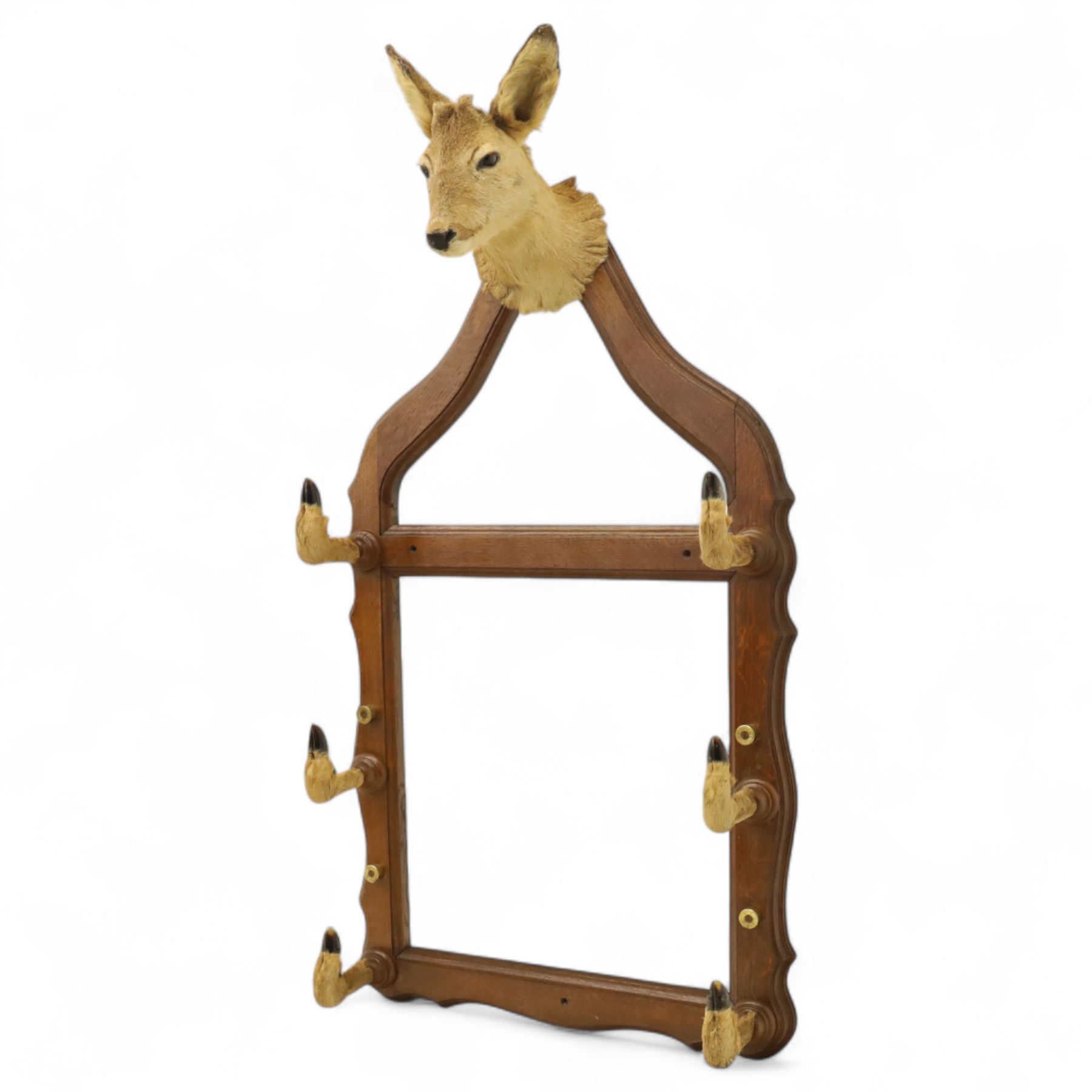 Early 20th-century taxidermy decorated wall-mounted gun rack, shaped oak frame fitted with used shotgun cases and mounted with hooves designed to hold shotguns horizontally, surmounted with a taxidermy deer head 