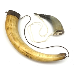 Two 19th century horn powder flasks 42cm & 23cm (2)