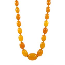  Single strand graduating oval butterscotch amber bead necklace, with three additional loose amber beads