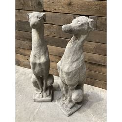 Pair of cast stone seated greyhounds, on square plinth base