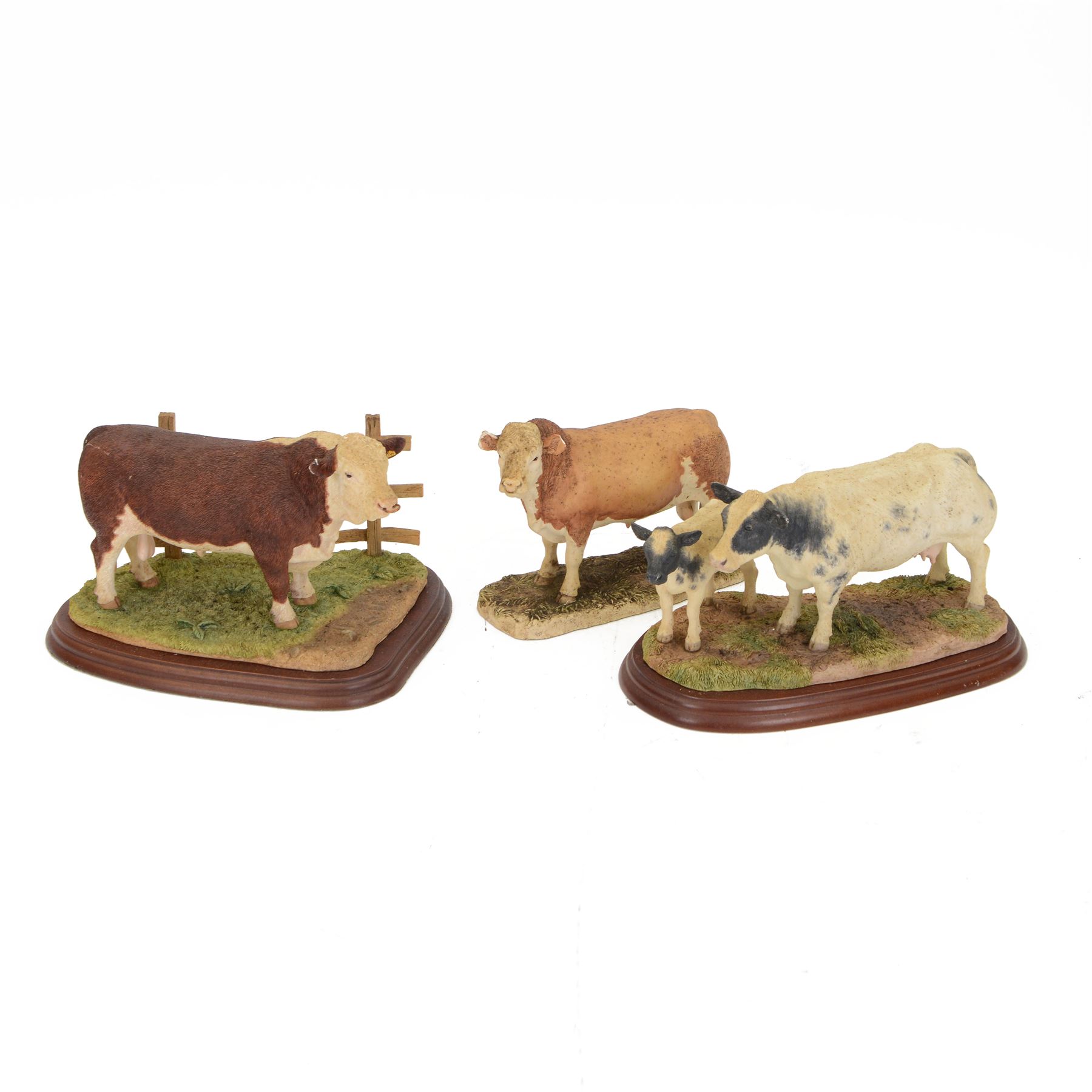 Three Border Fine Arts cow figure groups, comprising Belgian Blue Cow and Calf A1252, Hereford Bull A20848 and Simmental Bull L102