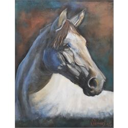 Carlos Olivares (Uruguayan Contemporary): Horse Head Portrait, oil on canvas mounted onto board signed and dated '18, 53cm x 41cm