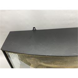 Taxidermy; Cased Mirror Carp (Cyprinus carpio carpio) a large preserved skin mount 
in a naturalistic setting set against blue painted back drop, enclosed within a glass bow fronted case, the interior bearing a label 'Carp Redmire Lake 12 lb 4 oz Oct 67' H42 cm W87 cm D27 cm