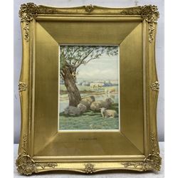 William Sidney Cooper (British 1854-1927): Sheep in the Shade, watercolour signed and dated 1924, 18cm x 12cm