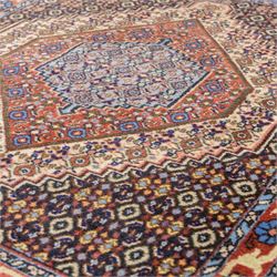 Persian Bijar prayer rug, dark brown ground with all-over Herati design surrounding a rust and pale blue central medallion, cream inner border and rust floral outer border