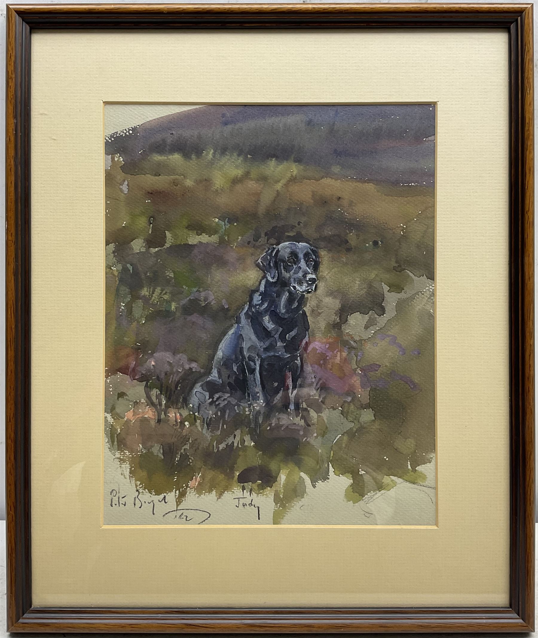 Peter Biegel (British 1913-1987): Portrait of 'Judy' a Seated Black Labrador, watercolour signed titled and dated '62, 28cm x 21cm