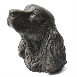 D F Boddie - composite model of a Spaniels head, signed and dated '83 to base, H24cm 