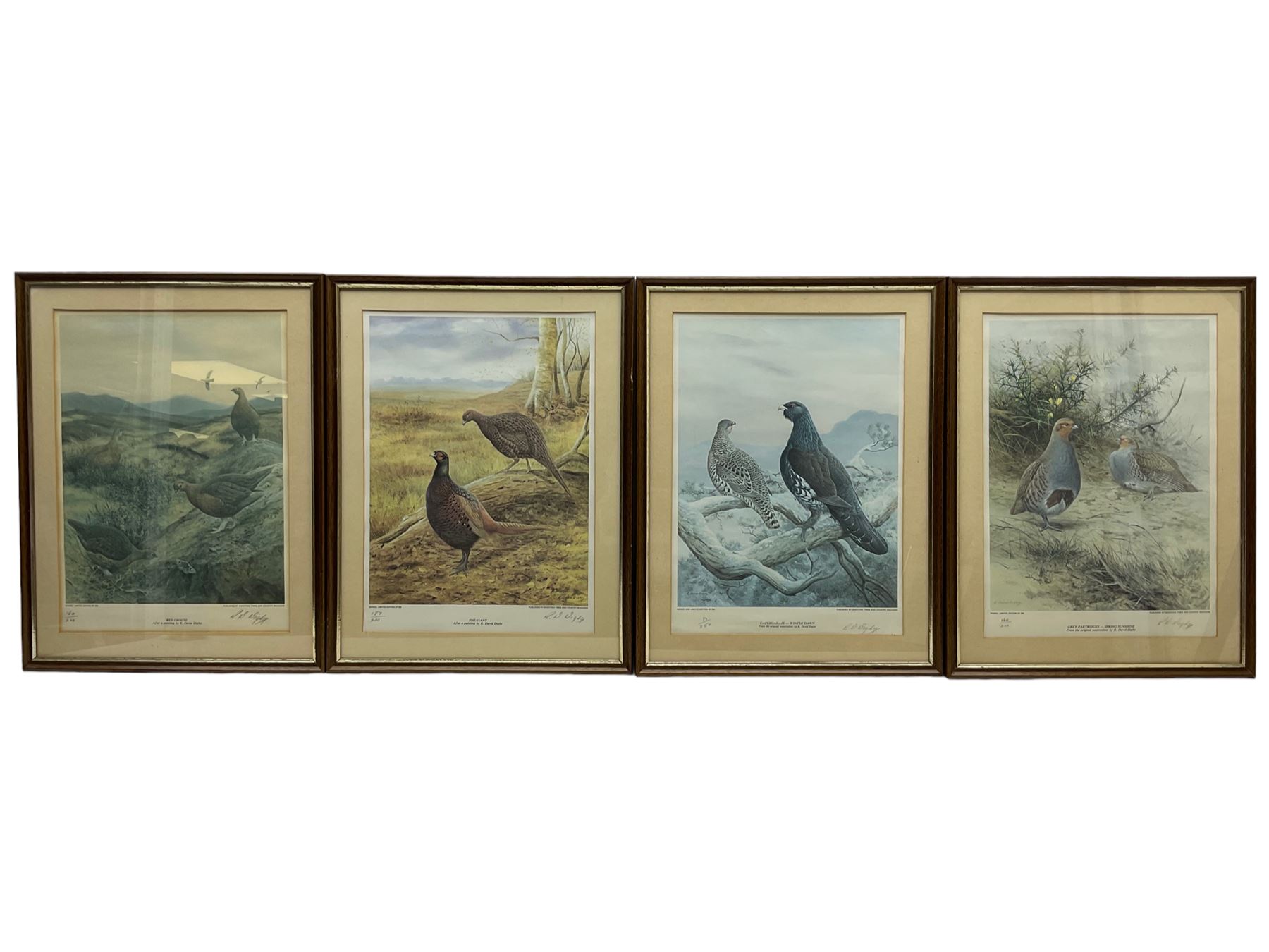 Ron David Digby (British 1936-): Game Birds, set four limited edition colour prints signed and numbered in pencil 43cm x 31cm, together with two small Scarborough engravings (6)