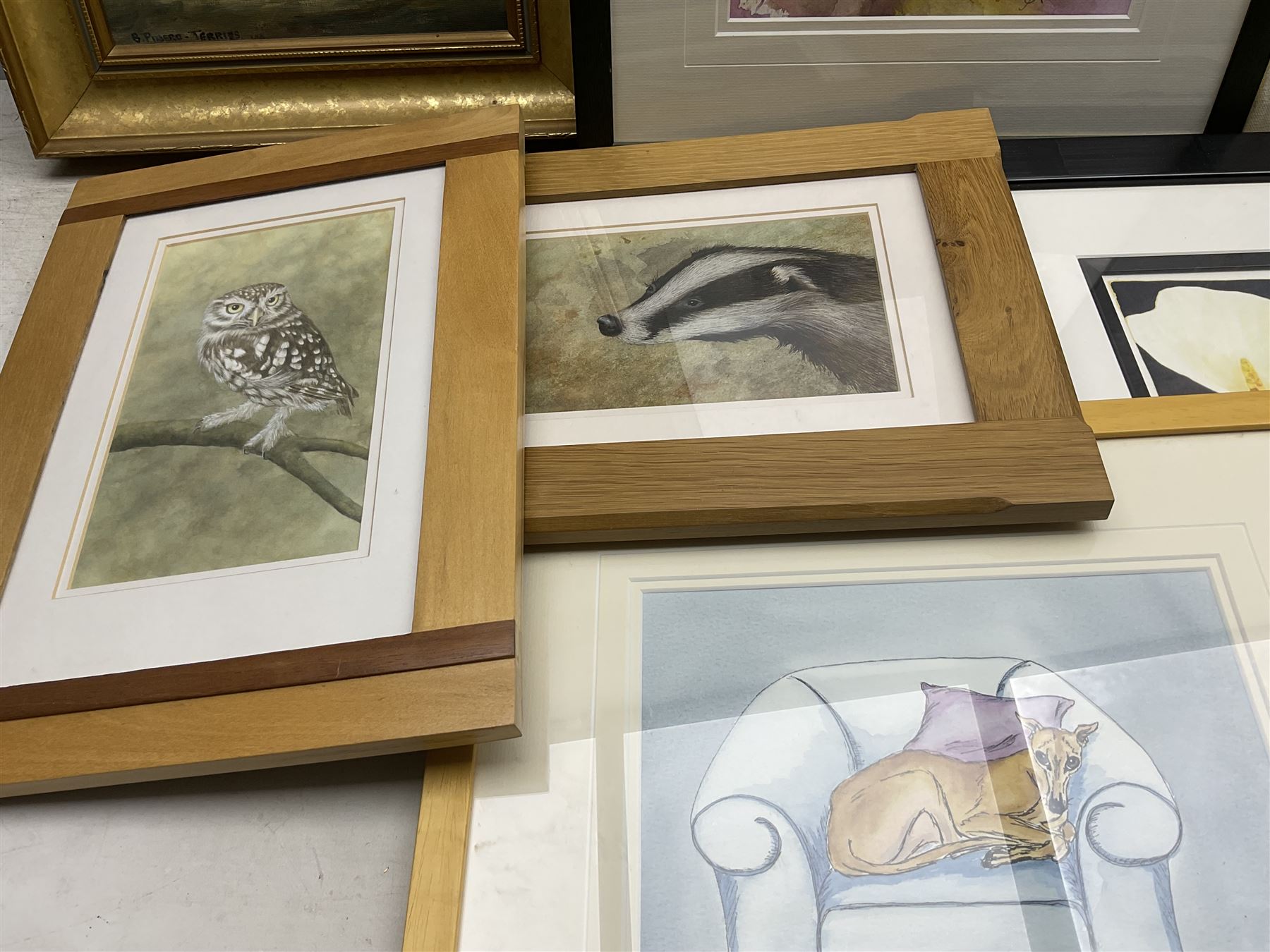Collection of original oils and watercolours, artists to include Amada Pickles, Angela McCall, Dianne Heap and others (11)