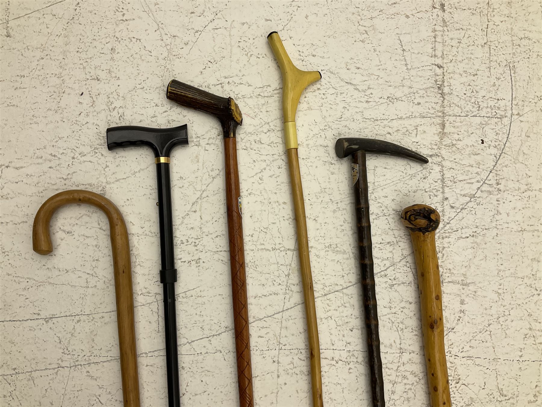 Two smooth polished ram horn handled Shepherd's crooks and a further similar example, together with various shooting sticks, walking sticks and canes, housed in a volcanic lava glaze West German style vase