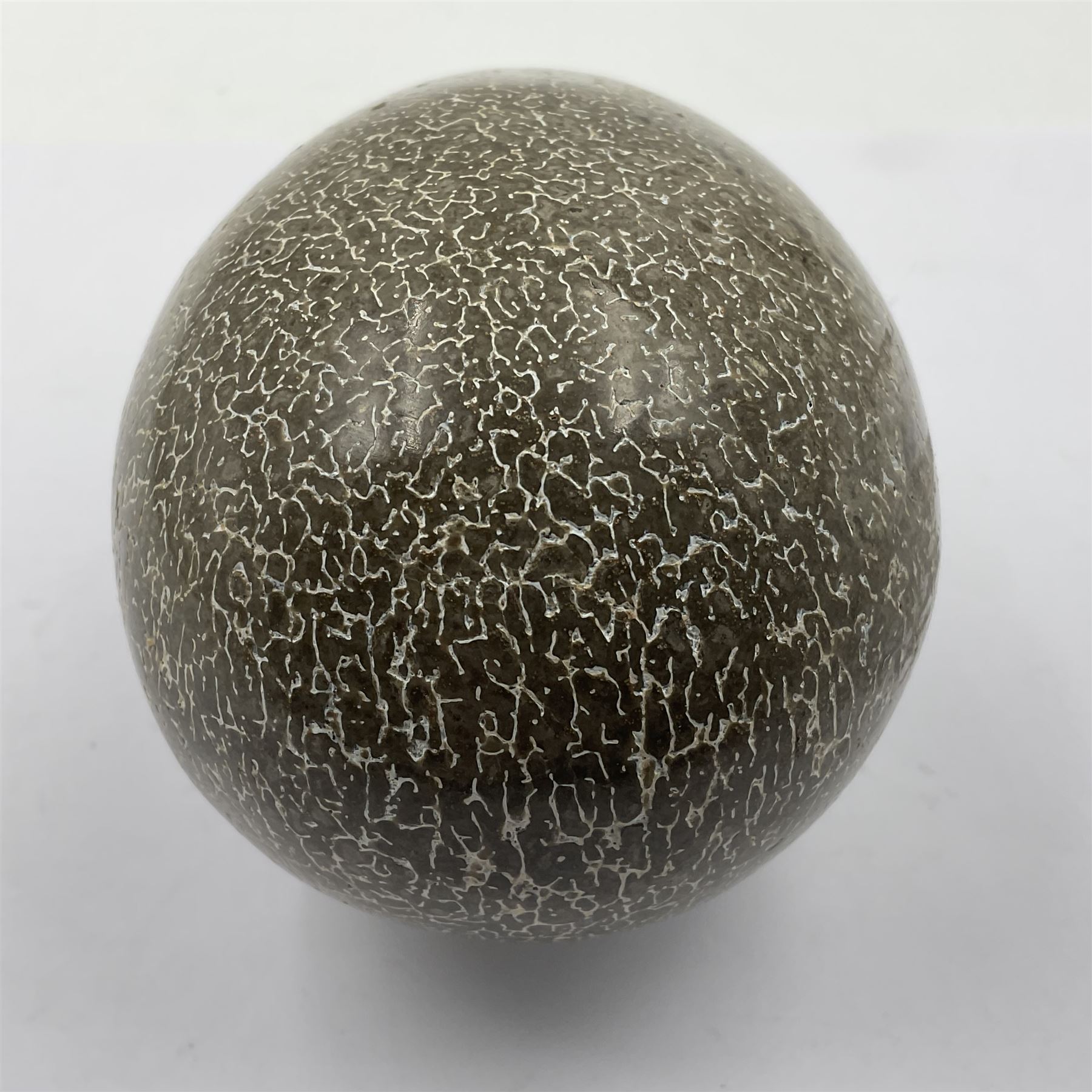 Agatized dinosaur bone shaped in ovoid from, from thigh bone of a Atlasaurus, age; Jurassic period, location; Morocco 