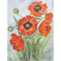 After Theodore Major (British 1908-1999): 'Oriental Poppies', limited edition colour print together with English School (20th century): Poppies, watercolour indistinctly signed 1989, max 76cm x 60cm (2)