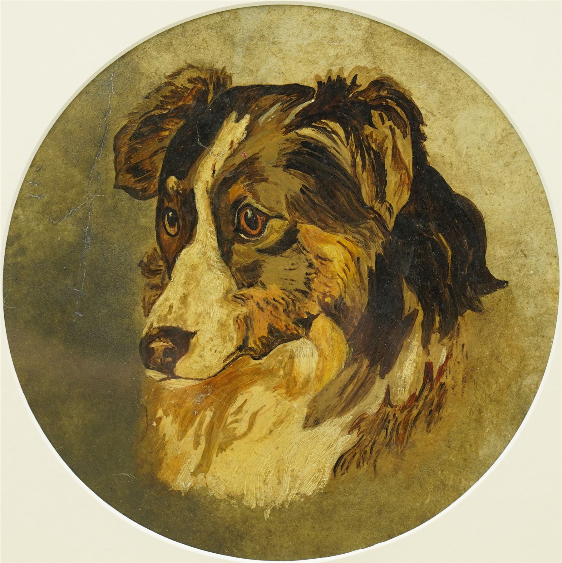 Collie専用購入ページ English School (19th century): Portrait of a Border Collie