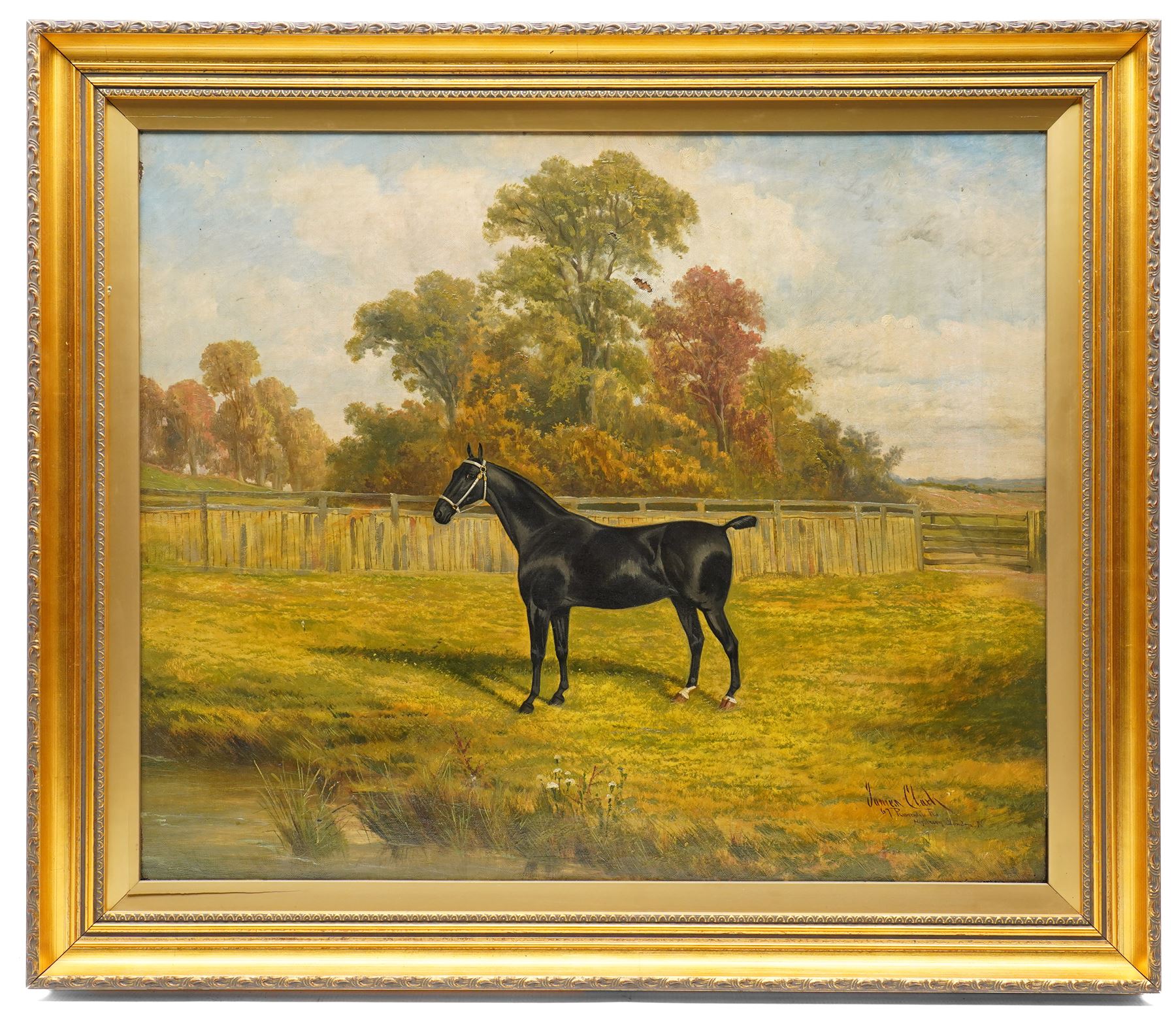 Albert James Clark (British 1858-1943): Portrait of a Black Horse with Docked Tail, oil on canvas signed and inscribed '67 Riversdale Rd - Highbury London N' 50cm x 60cm
