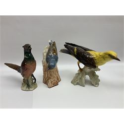 Goebel bird figures, to include Oriole, Waxwing, Canary etc, together with other similar bird figures 