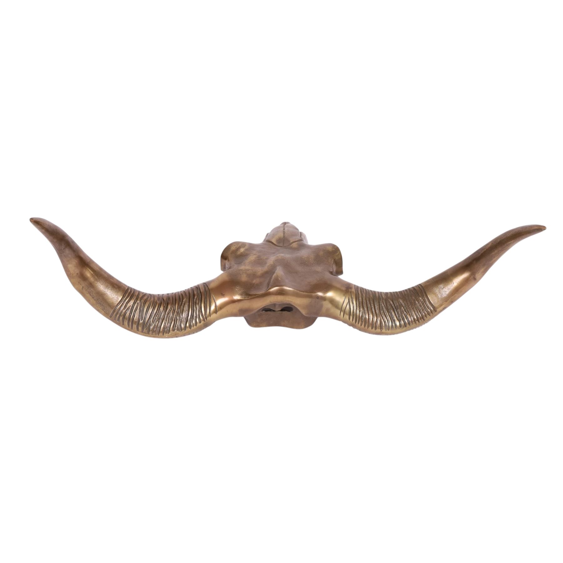 cast metal buffalo skull and horns, H54cm