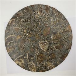 Polished ammonite plate, formed of individual ammonites, age: Jurassic period, D28cm