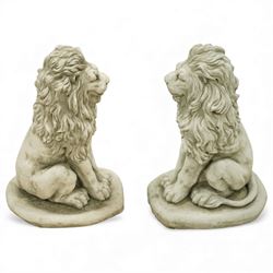 Pair of contemporary cast stone lions, seated pose on shaped plinths, with textured manes and aged surface finish