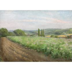 Norman Little (British fl.1905-1916): Landscape, oil on canvas unsigned,  inscribed 'Little' verso 48cm x 66cm
Provenance: private collection purchased David Duggleby Ltd 30th July 2001 Lot 450, part of a collection of Norman Little's work