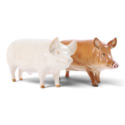 Two Beswick and three Royal Doulton pigs, including Ch Wall Champion pig, Vietnamese Pot Bellied pig, Gloucester Old Spot etc  