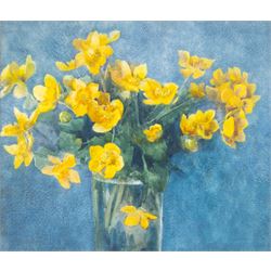 Edith Brearey Dawson (née Robinson) (British 1862-1928): Yellow Anemones, watercolour unsi...