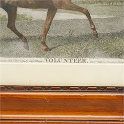 George Townley Stubbs (British 1756-1812) after George Stubbs (British 1724-1806): 'Volunteer', late 18th century stipple engraving with hand-colouring pub. 1794, by Messrs Stubbs Turf Gallery London 20cm x 25cm