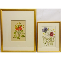  Still Life of Flowers, two early 20th botanical watercolours unsigned 28cm x 18cm and 26.5cm x 18.5cm (2)  