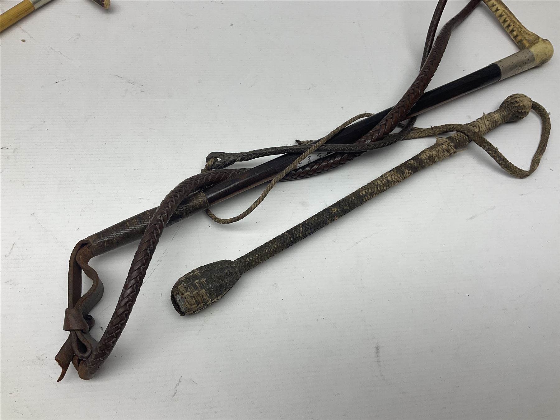 Collection of hunting crops and riding whips, including horn handle examples with silver cuffs