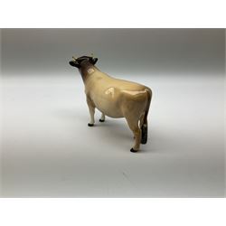 Beswick Jersey family group, comprising Jersey bull, 'Dunsley Coy Boy' model no 1422, cow, 'Newton Tinkle' model no 1345 and two calves model no 1249d