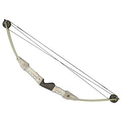 Compound archery bow, shaped metal centre section with moulded hand grip, fibreglass limbs and pulley wheel terminals, together with a group of arrows