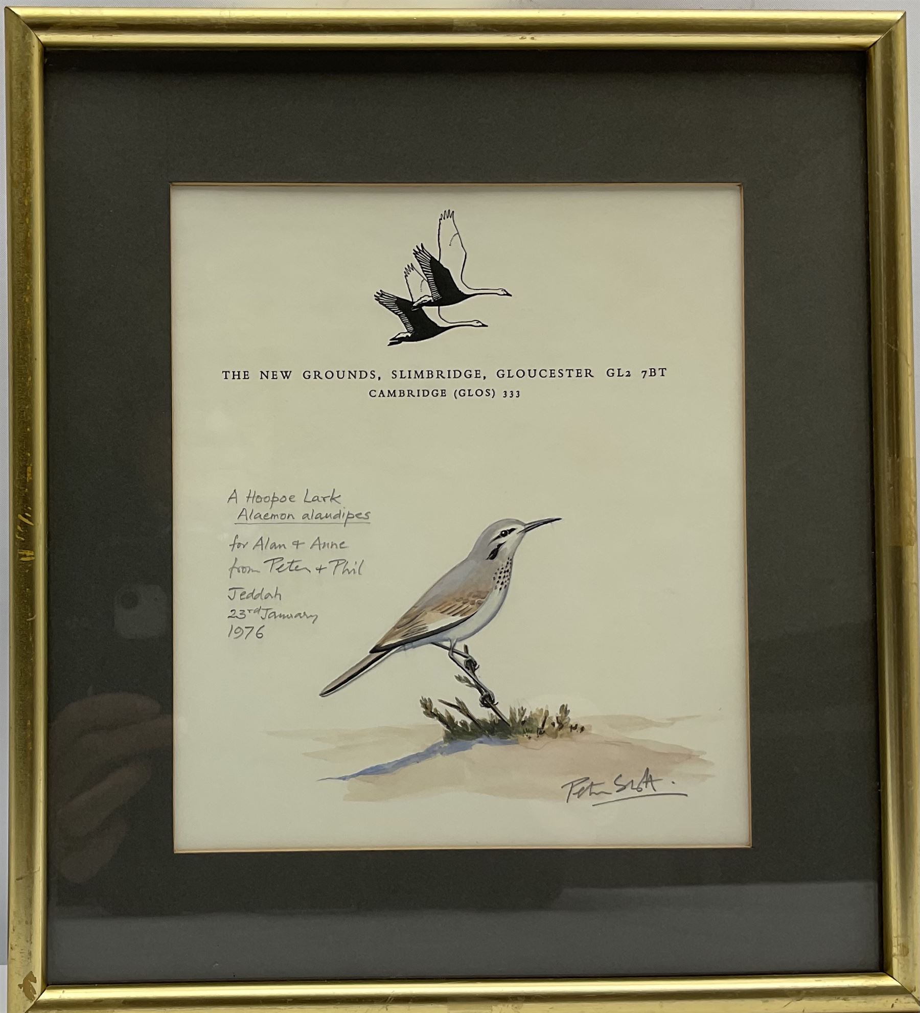 Sir Peter Markham Scott (British 1909-1989): 'A Hoopoe Lark', watercolour on headed notepaper signed titled inscribed and dated 'Jeddah 23rd January 1976', 18cm x 16cm