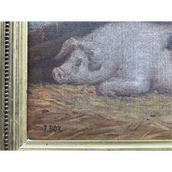 J Box (British 20th century): Sleeping Pig, oil on canvas laid on to panel signed 20cm x 25cm