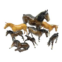 Eight Beswick horses, including shire no 181, foal no 316, foal 997, etc 