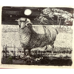  'Spanish Merino Sheep', lithograph signed, titled and dated '56 by Colin Gard Allen (British 1926-1987) 34cm x 44cm  