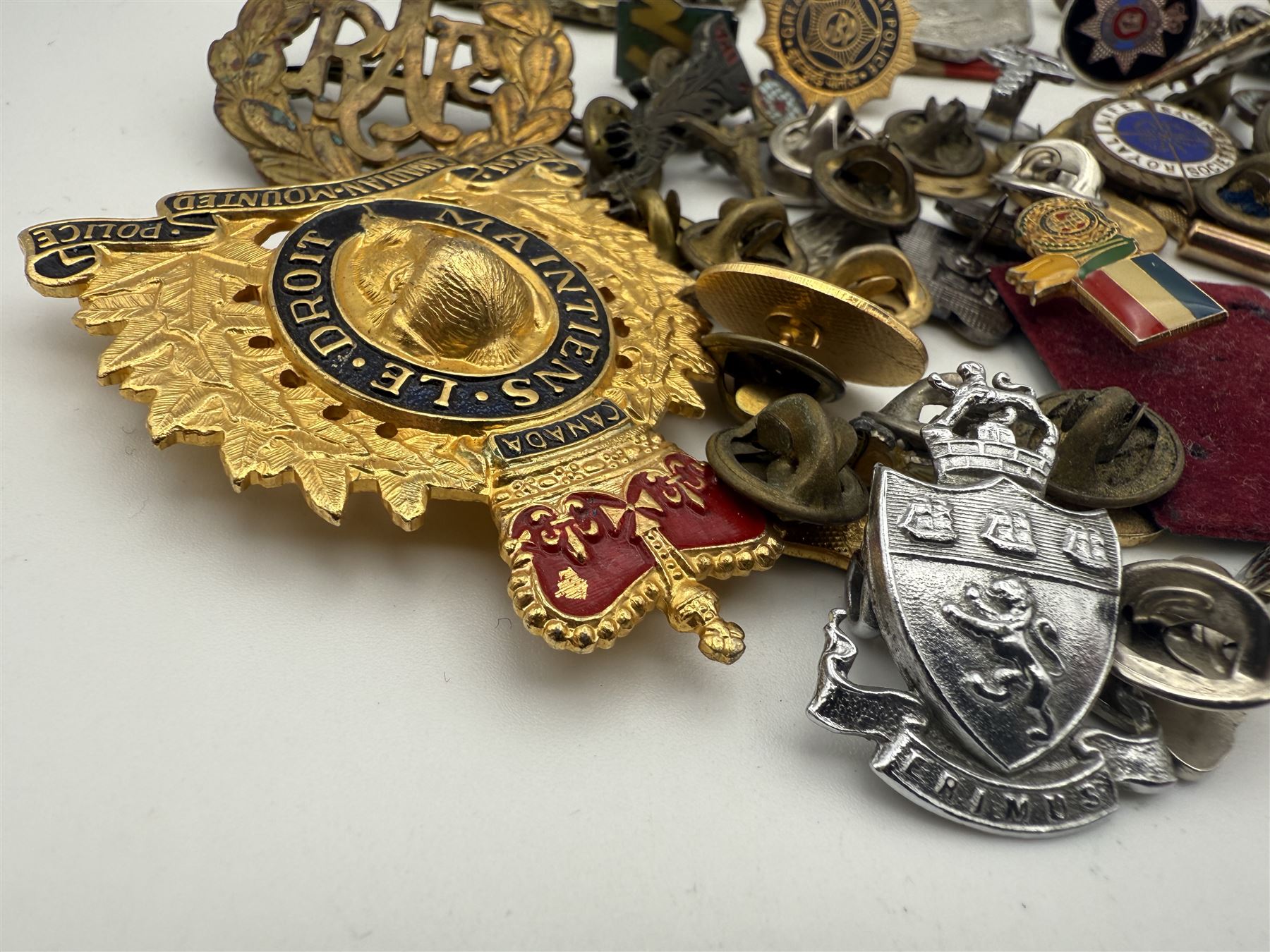 Collection of military and similar enamel badges, pin badges, cloth badges and brasses
