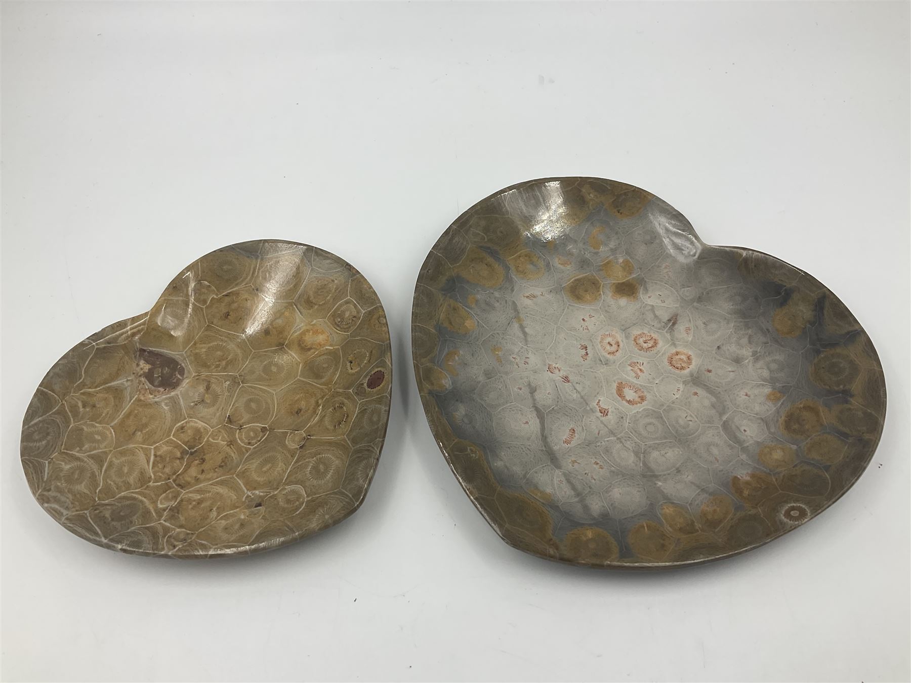 Two graduating fossilised coral dish in the form of hearts, largest D16cm