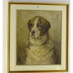  Frances C Fairman (British 1836-1923): Portrait of a St. Bernard Dog, watercolour signed 54cm x 45cm  