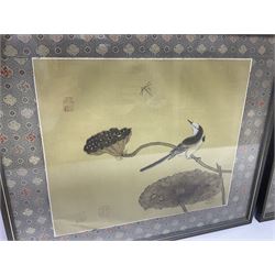 Four Chinese paintings on silk, each depicting birds, calligraphy and red seal, frame H39cm, L47cm