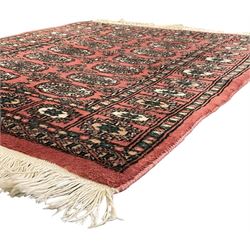 Small peach ground Bokhara rug, decorated with two rows of Gul motifs 