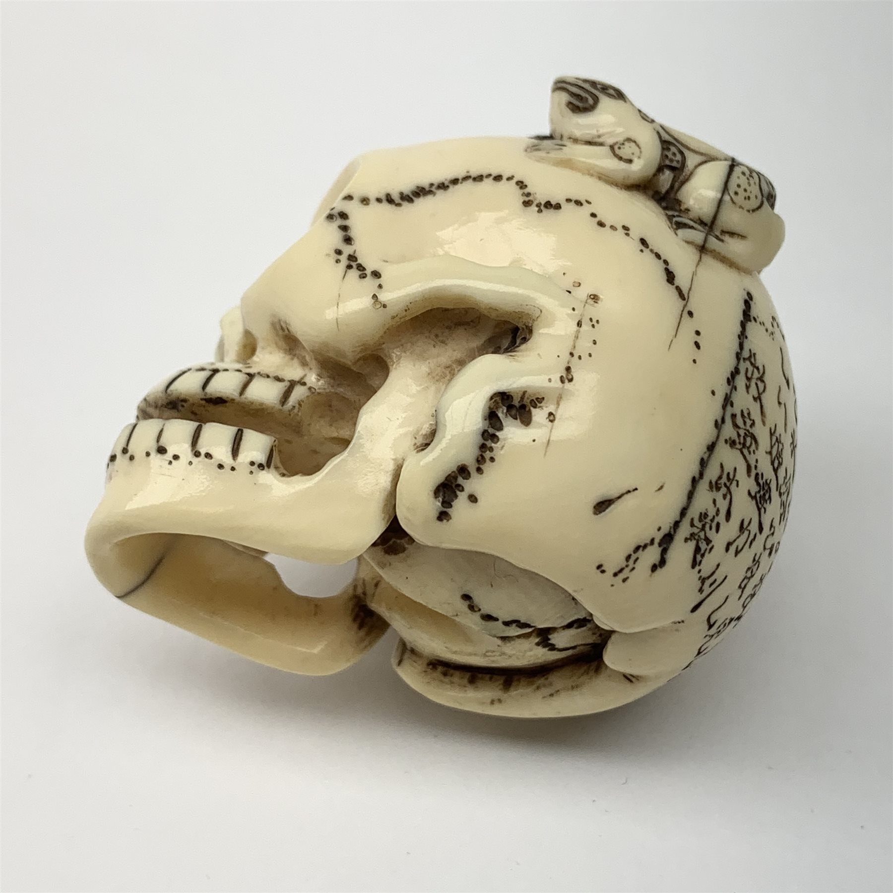 Japanese Meiji carved ivory netsuke, modelled as a skull, the top carved with two toads, and script and signature to reverse, L5cm, H4cm   