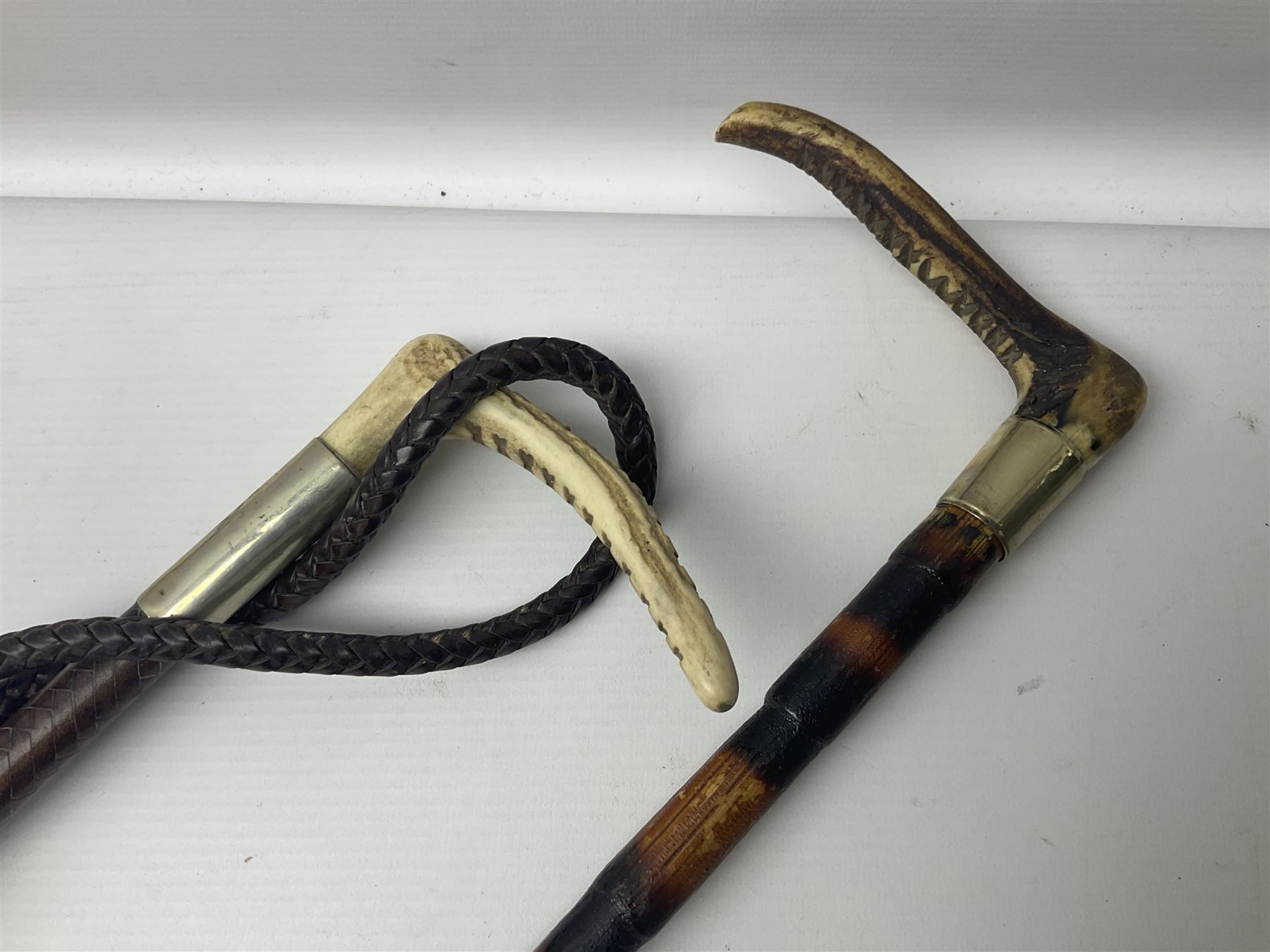 Collection of hunting crops and riding whips, including horn handle examples with silver cuffs
